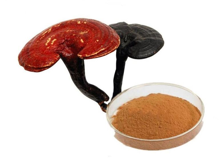 Ganoderma Lucidum Extract Capsules Prostamin Forte