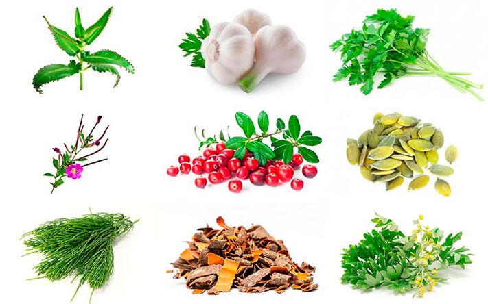 Folk remedies to treat prostatitis