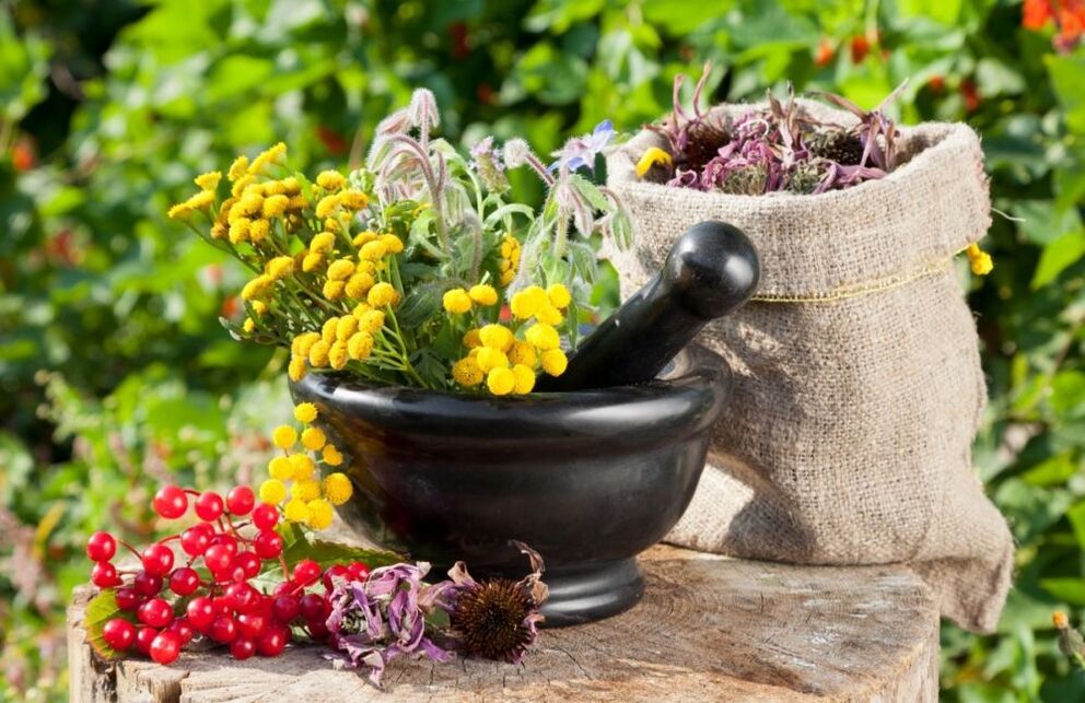 Medicines from medicinal plants are used in the treatment of prostatitis